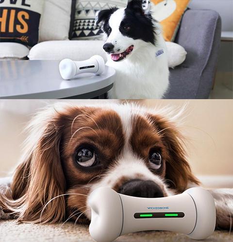 Wickedbone  Smart & Interactive Dog Chewing Toy