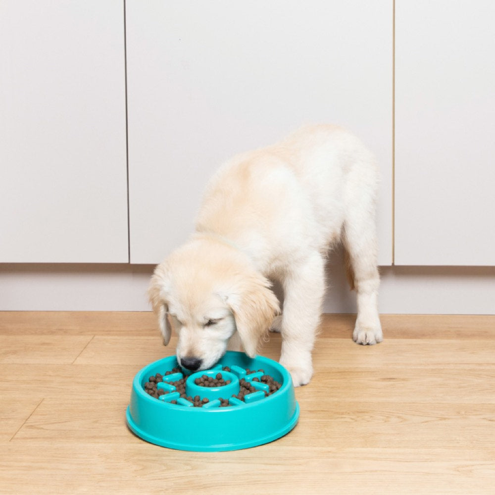 ZippyPaws Happy Bowl Donut Feed Bowl Dog Toy