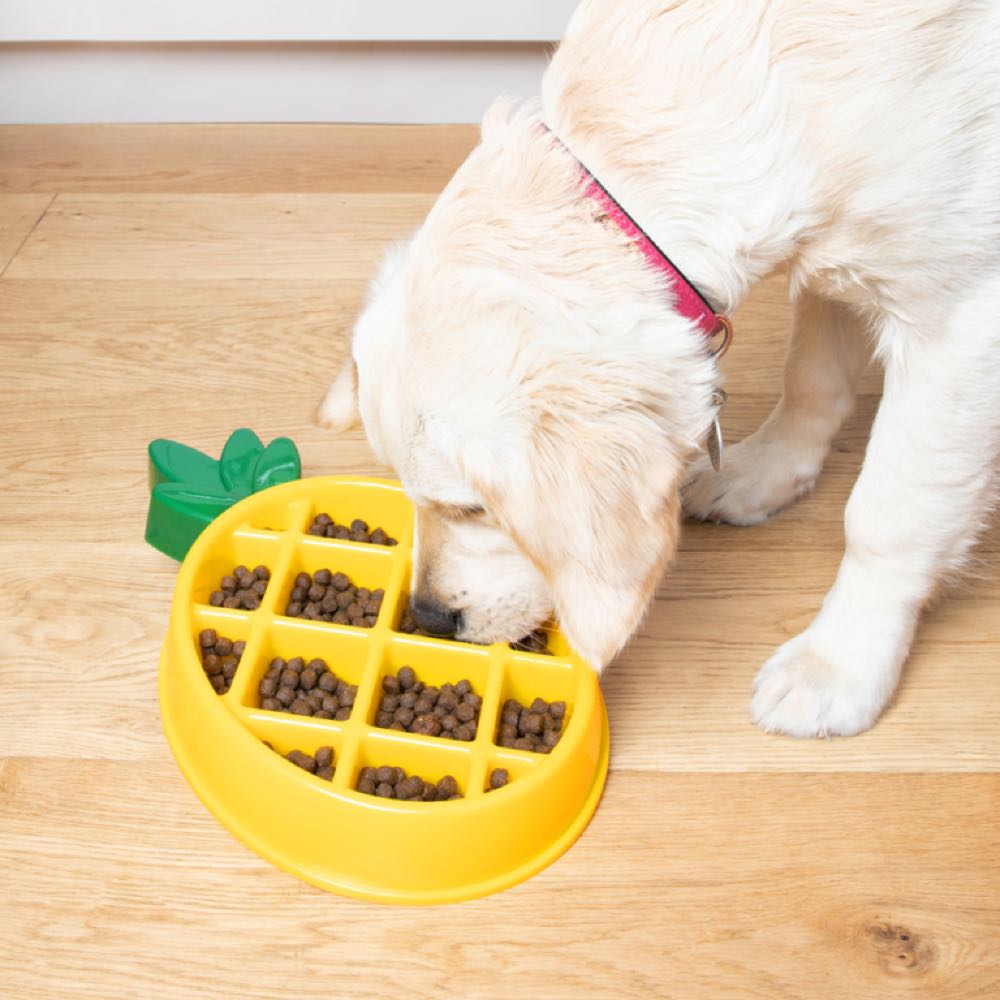 ZippyPaws Happy Bowl Pineapple Feed Bowl Dog Toy