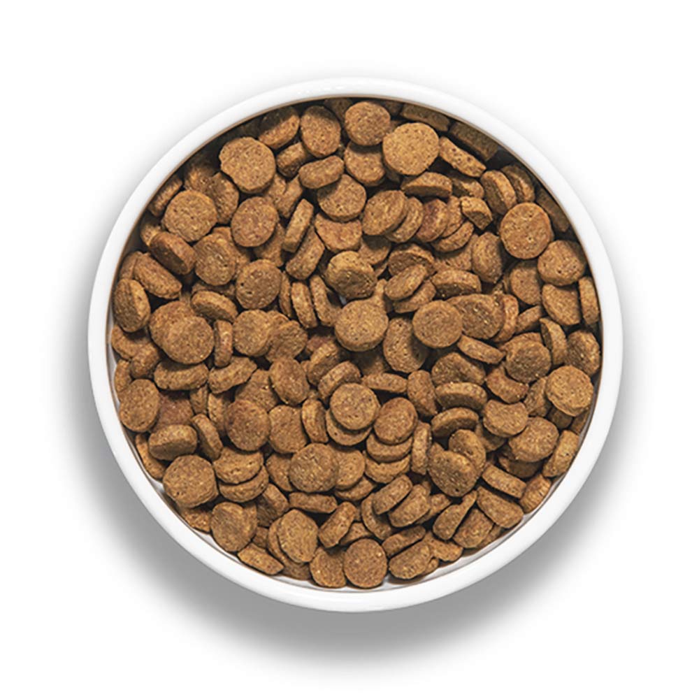 Bixbi Rawbble Pork Limited Ingredient Freeze-Dried Raw Coated Grain-Free Dry Dog Food