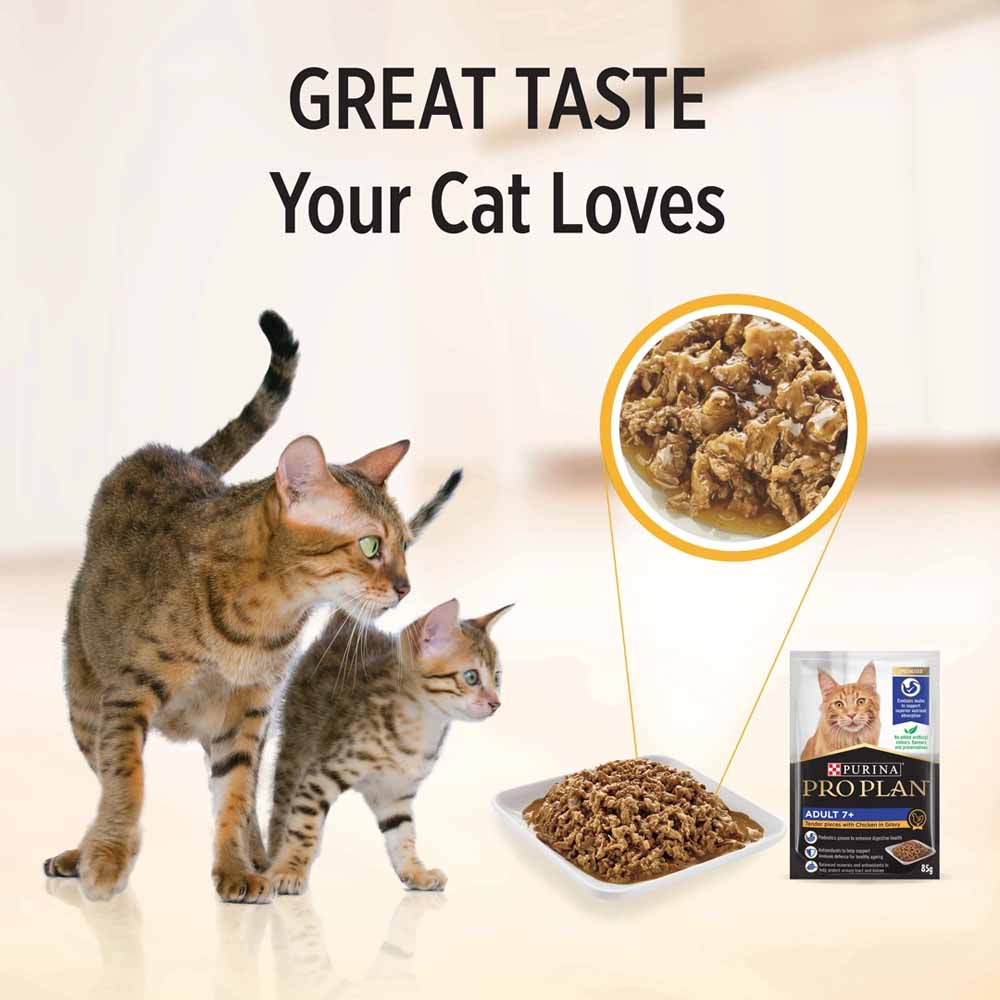 Pro Plan Chicken In Gravy Adult 7+ Pouch Cat Food 85g x 12
