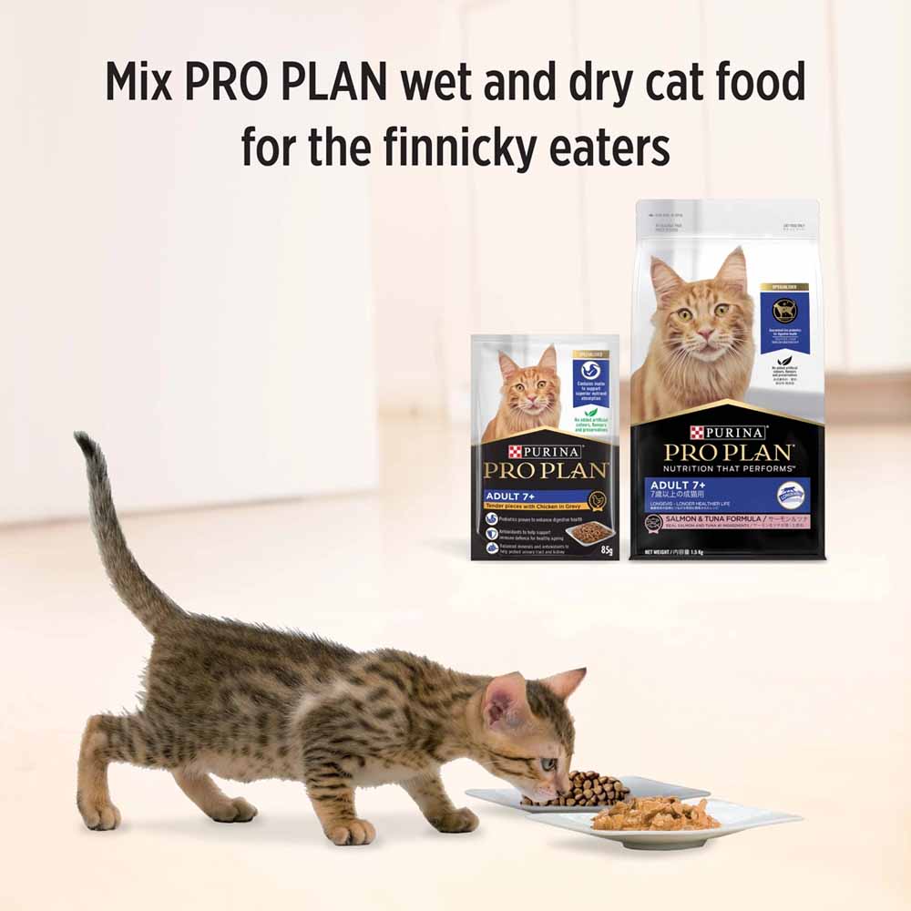 Pro Plan Chicken In Gravy Adult 7+ Pouch Cat Food 85g x 12