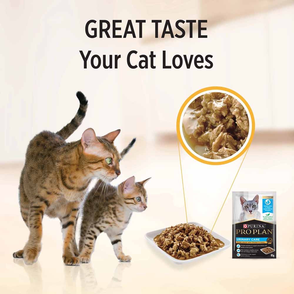 Pro Plan Urinary Tract Health Chicken In Gravy Adult Pouch Cat Food 85g x 12