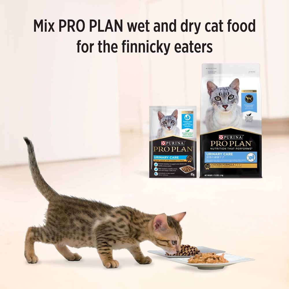 Pro Plan Urinary Tract Health Chicken In Gravy Adult Pouch Cat Food 85g x 12